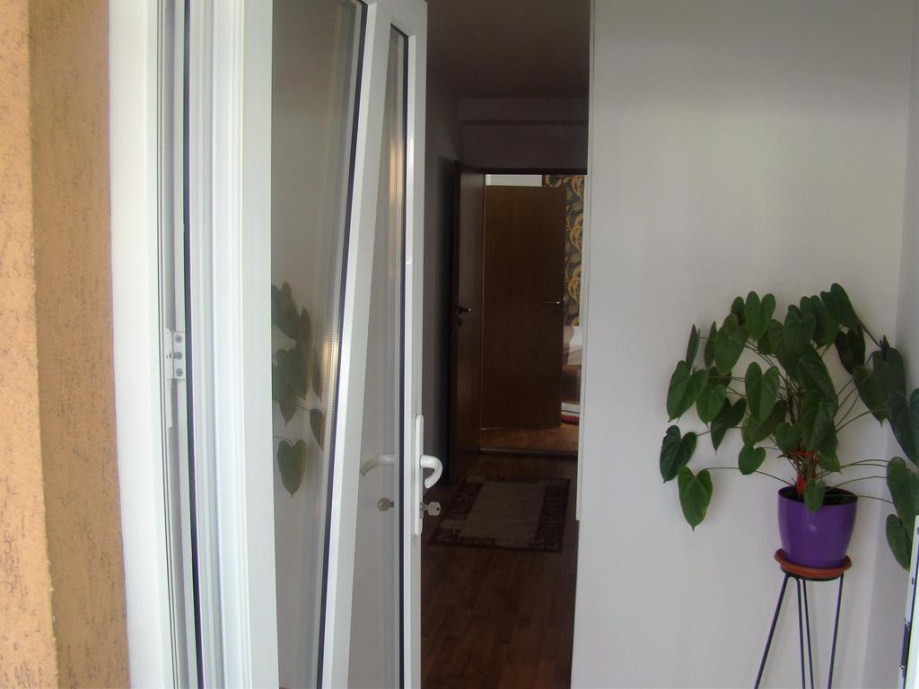 קלוז'-נאפוקה Guest House Andrei מראה חיצוני תמונה