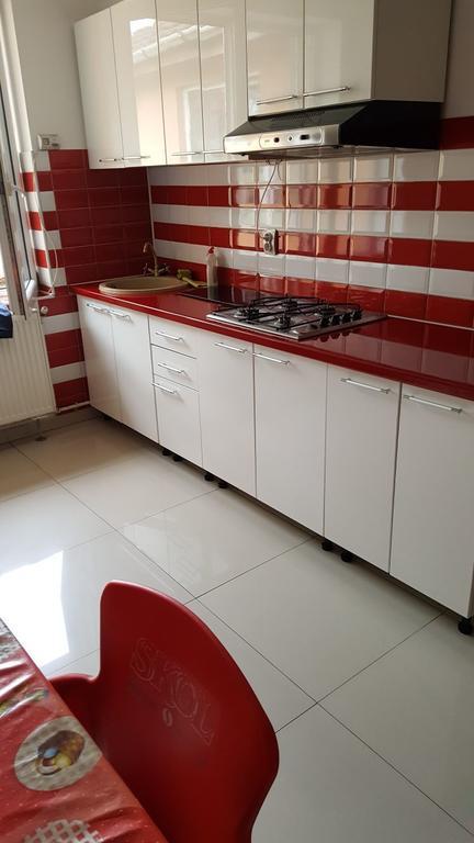 קלוז'-נאפוקה Guest House Andrei מראה חיצוני תמונה