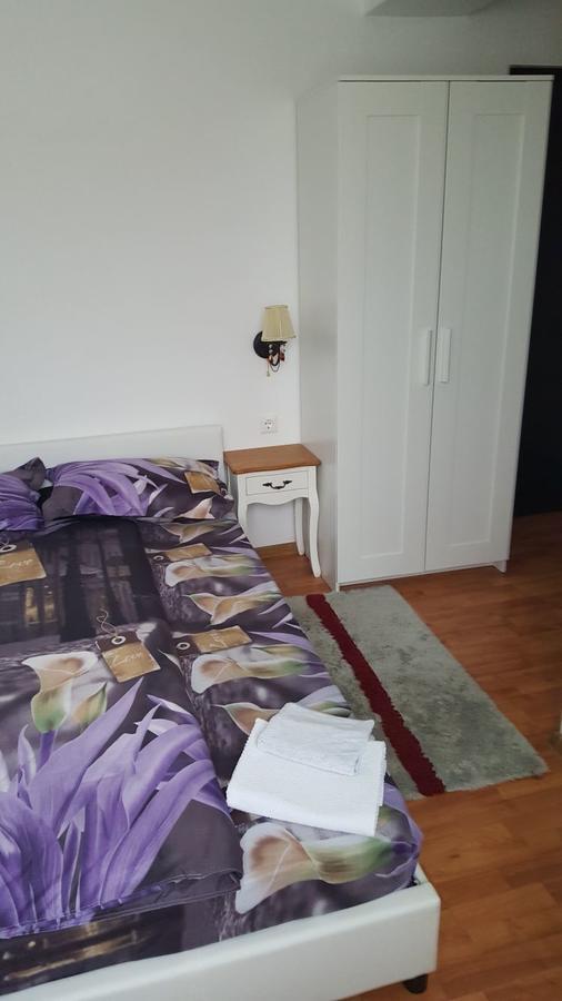 קלוז'-נאפוקה Guest House Andrei מראה חיצוני תמונה